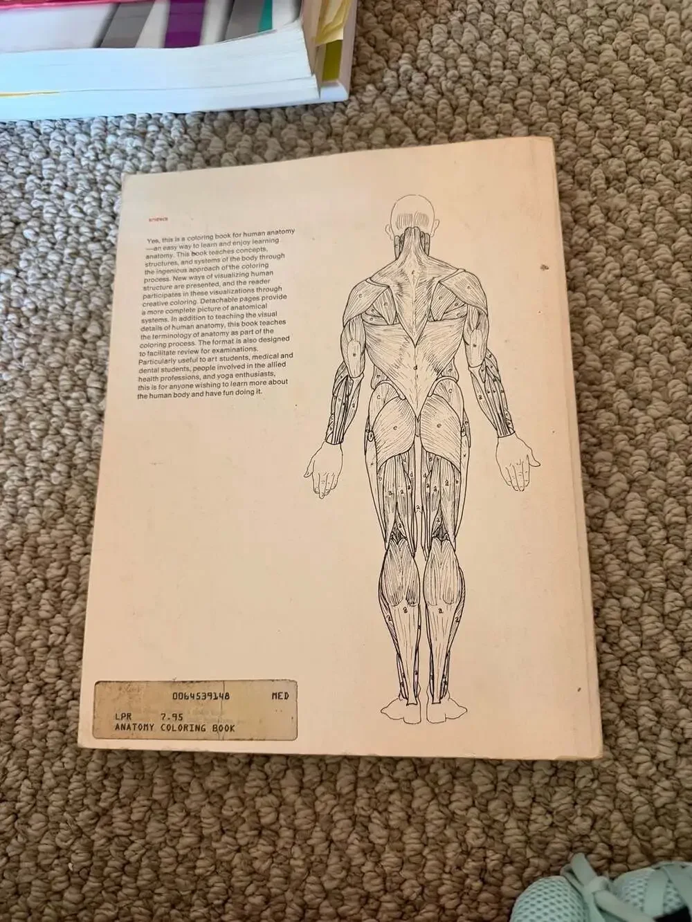 Harper & Row anatomy coloring
